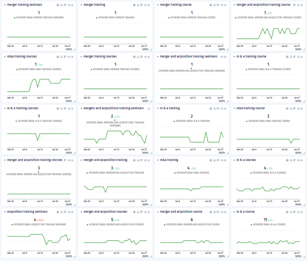 SEO case study cyfe