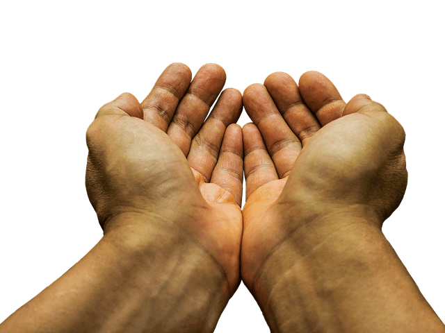 hands