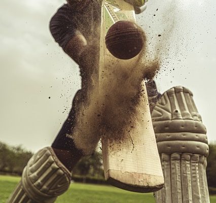 devon malcolm cricketer Image by Yogendra Singh from Pixabay